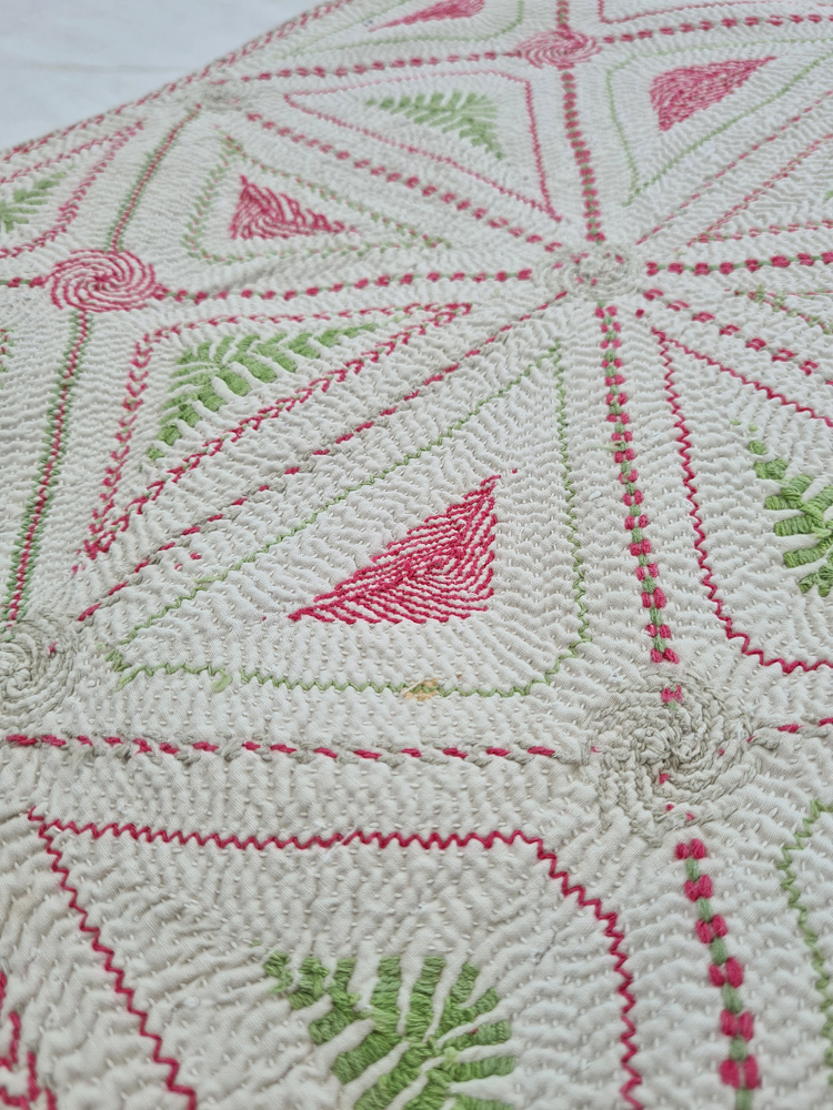 Fern - Image 3