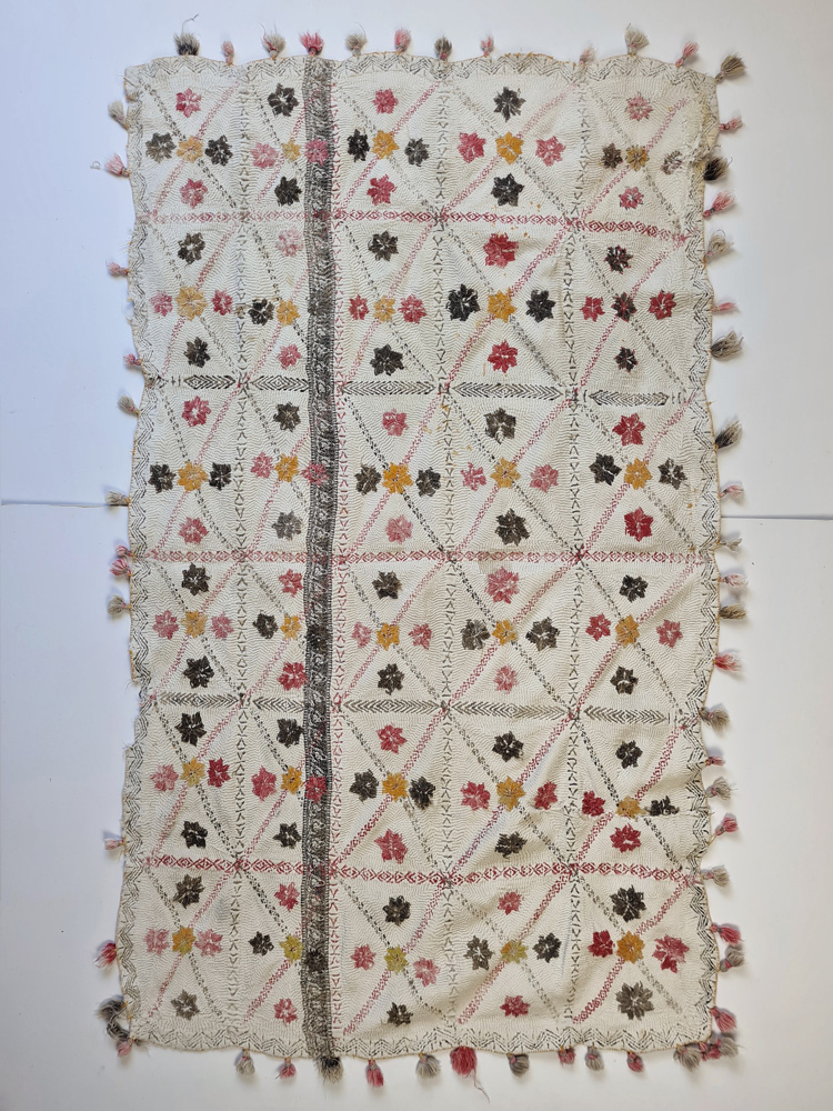 Willow Nakasi Kantha Quilt