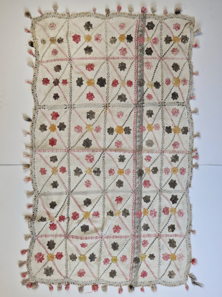 Willow Nakasi Kantha Quilt